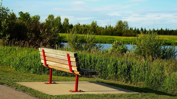 Wie kann eine gesunde ErnÃ¤hrung das Wohlbefinden fÃ¶rdern?